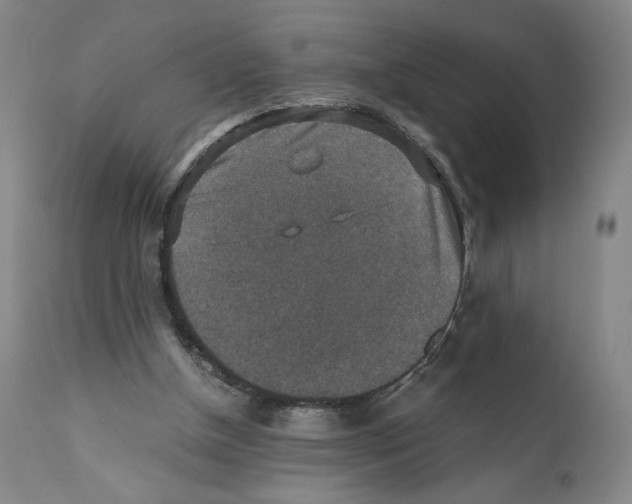 X0000110890154200907161534