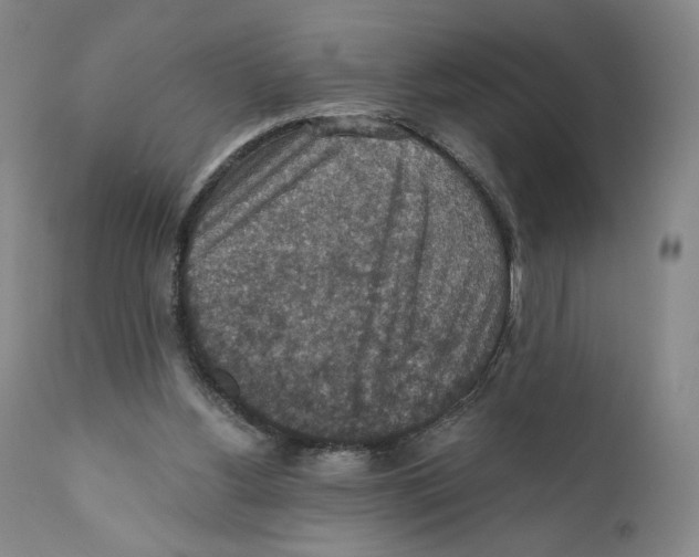 X0000110890156200907161534