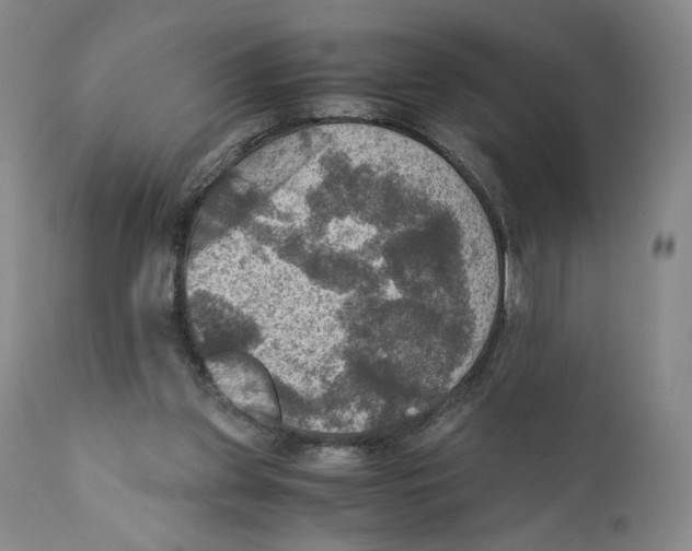 X0000110890157200907161534