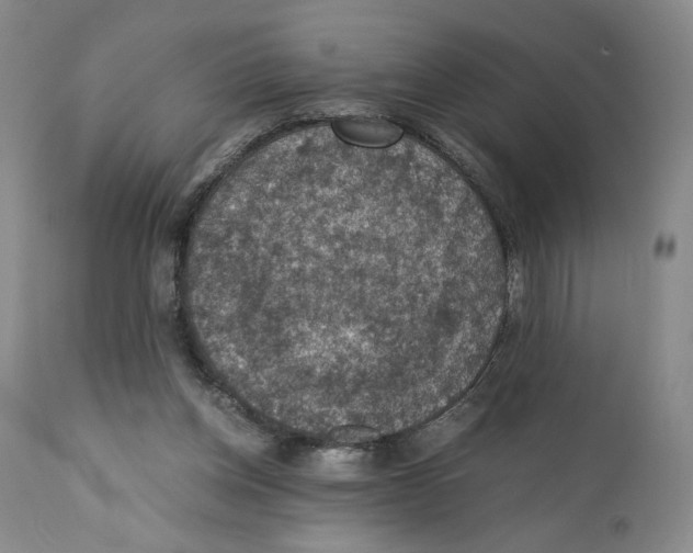 X0000110890158200907161534