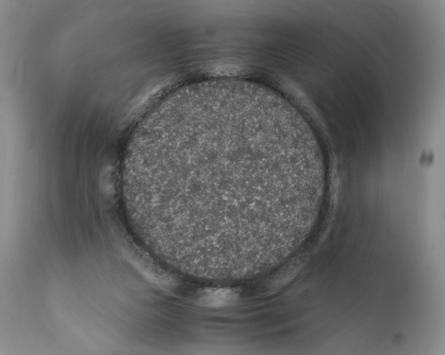 X0000110890161200907161534