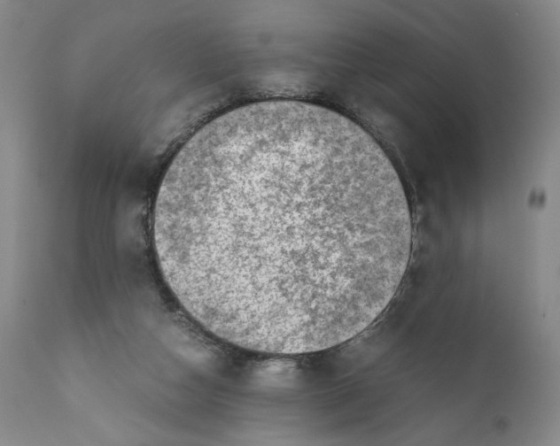 X0000110890162200907161534