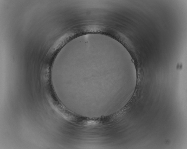 X0000110890163200907161534