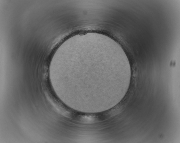 X0000110890164200907161534