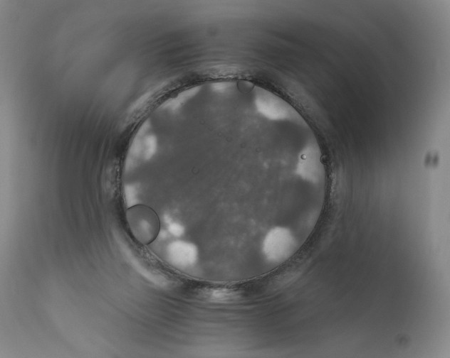 X0000110890165200907161534