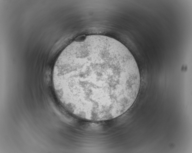 X0000110890166200907161534