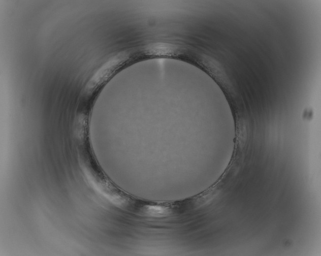 X0000110890167200907161534