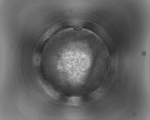 X0000110890168200907161534