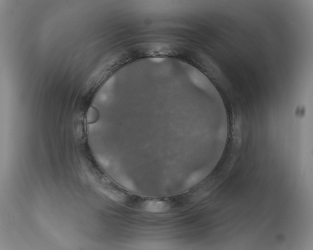 X0000110890169200907161534