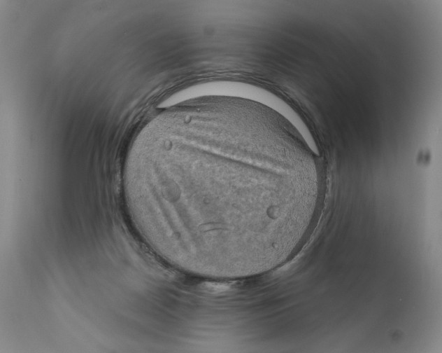 X0000110890170200907161534