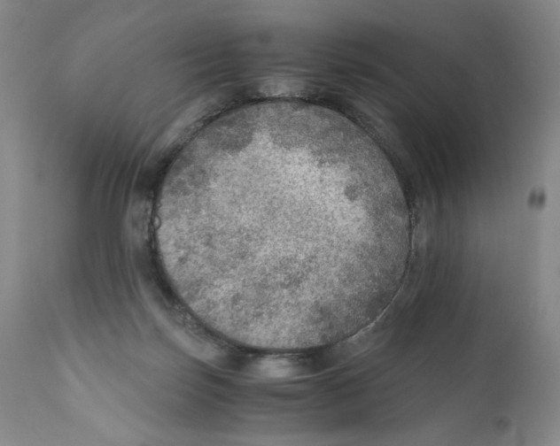 X0000110890171200907161534