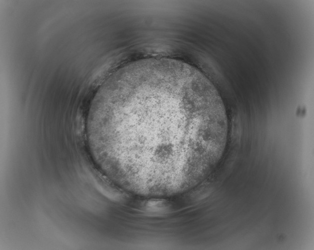 X0000110890173200907161534