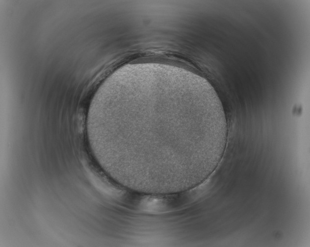 X0000110890174200907161534
