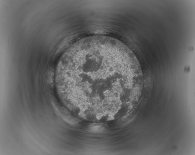X0000110890175200907161534
