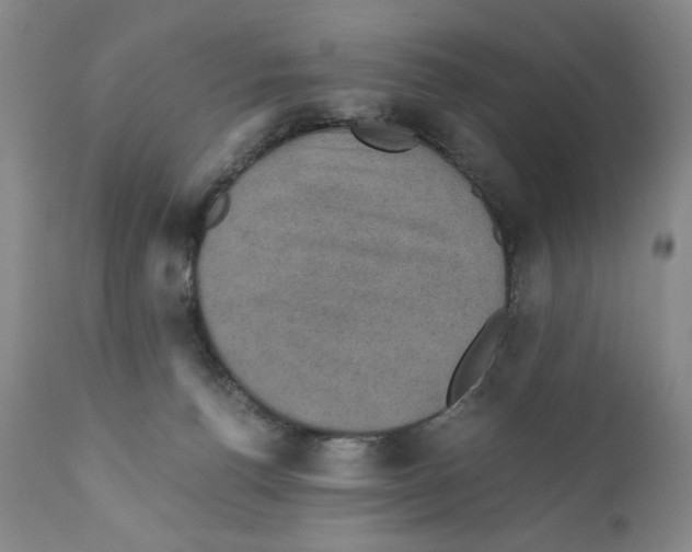 X0000110890176200907161534