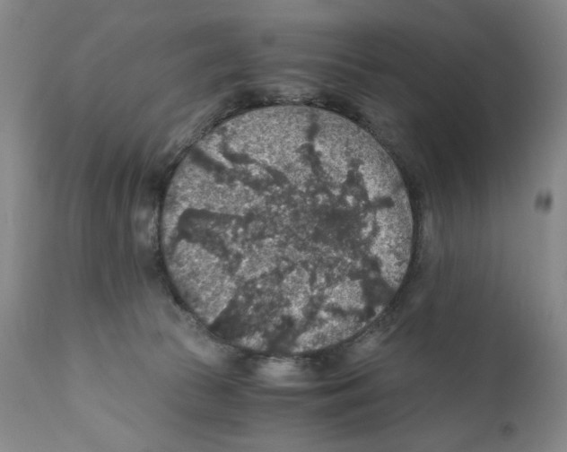 X0000110890177200907161534