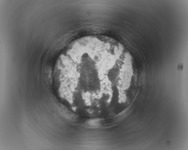 X0000110890178200907161534