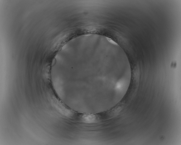 X0000110890181200907161534