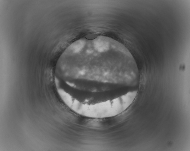 X0000110890182200907161534