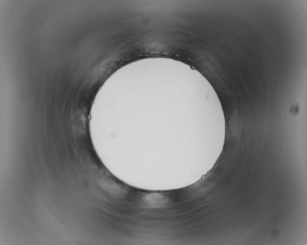 X0000110890183200907161534