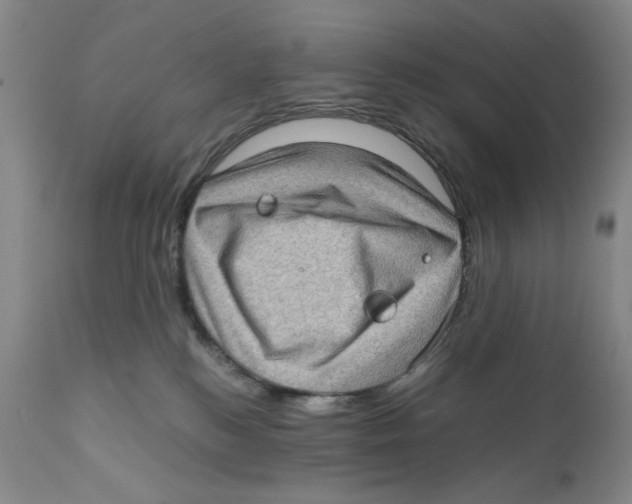 X0000110890184200907161535