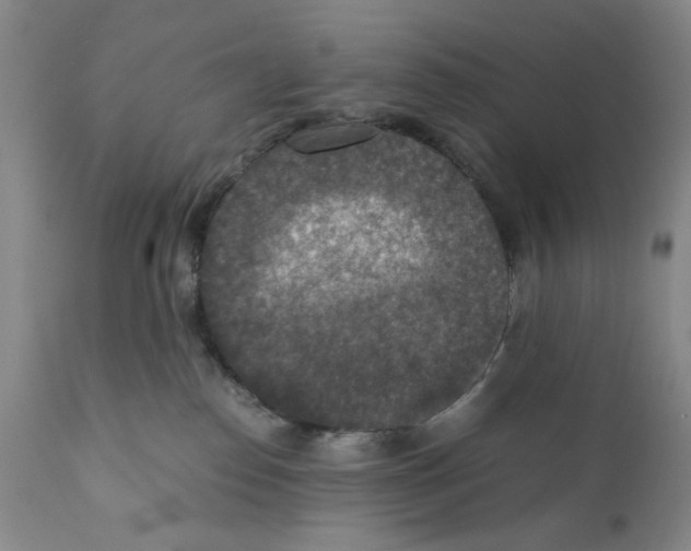 X0000110890186200907161535