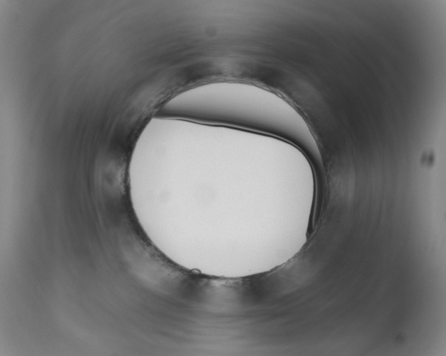 X0000110890188200907161535
