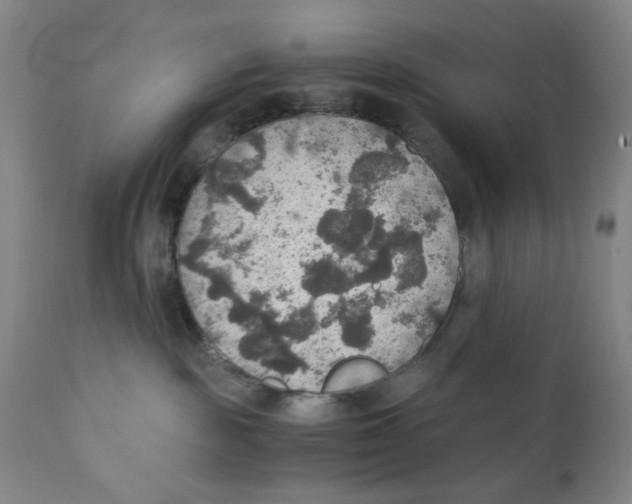 X0000110890189200907161535