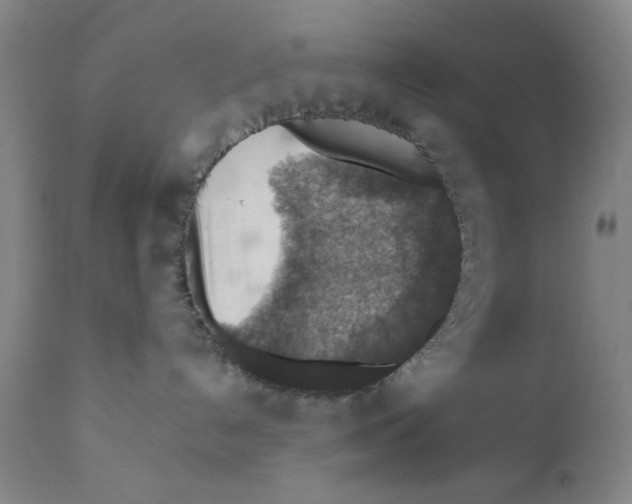 X0000110890192200907161535