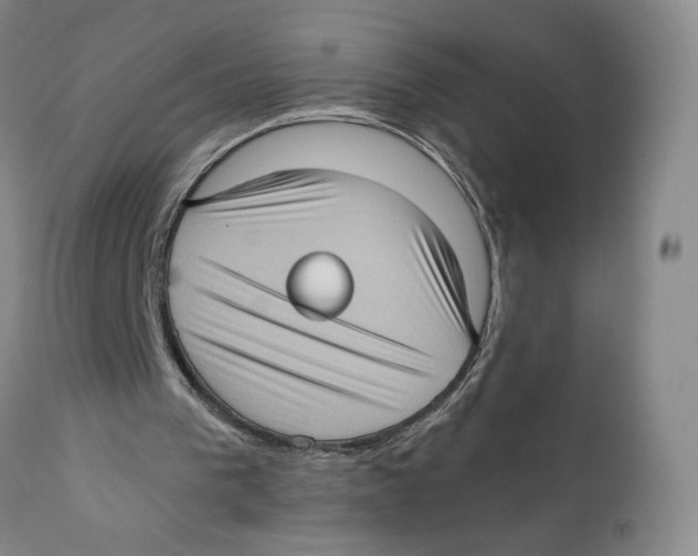 X0000110890193200907161534