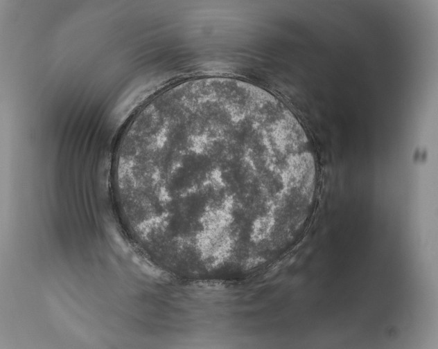 X0000110890194200907161534