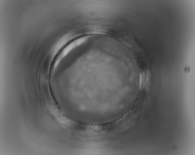 X0000110890195200907161534