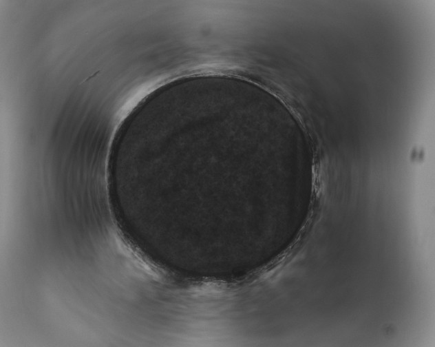 X0000110890196200907161534