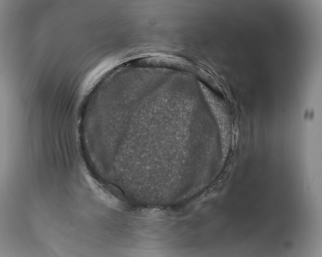 X0000110890197200907161534