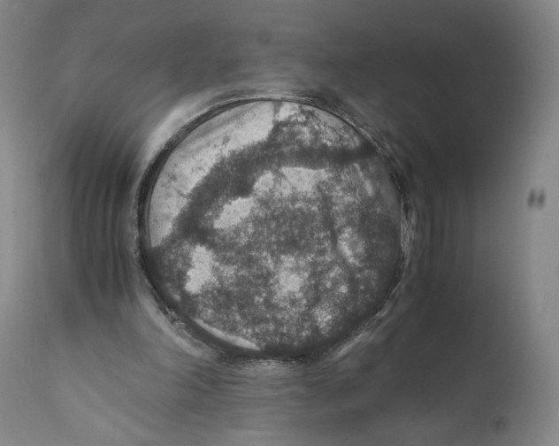 X0000110890198200907161534