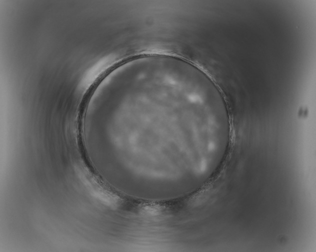 X0000110890199200907161534