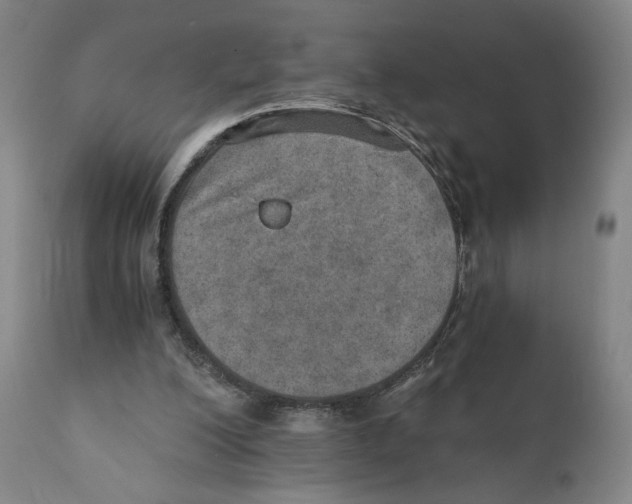 X0000110890200200907161534