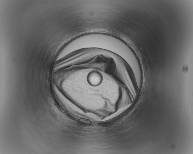 X0000110890201200907161534