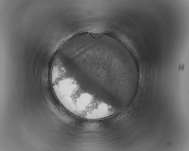 X0000110890202200907161534