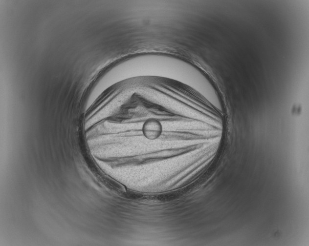 X0000110890203200907161534