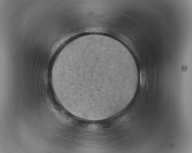 X0000110890204200907161534