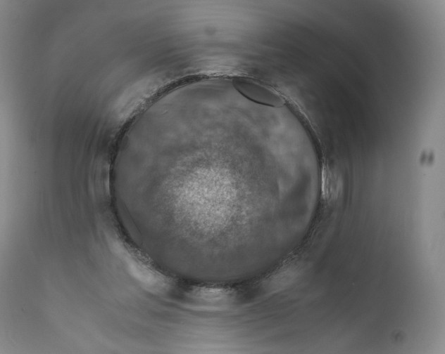 X0000110890205200907161534