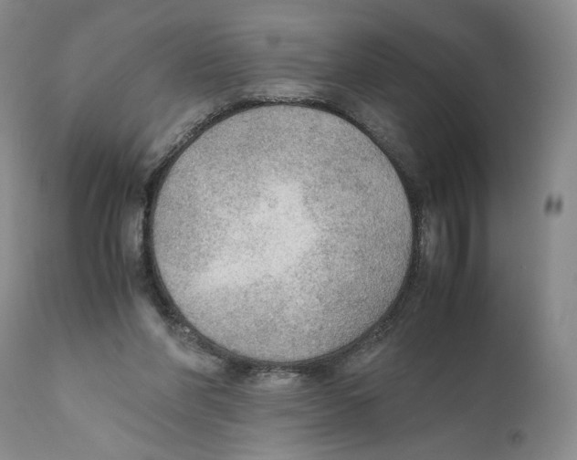 X0000110890206200907161534