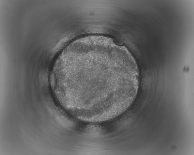 X0000110890207200907161534
