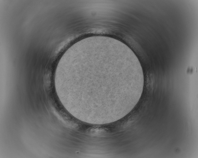 X0000110890208200907161534