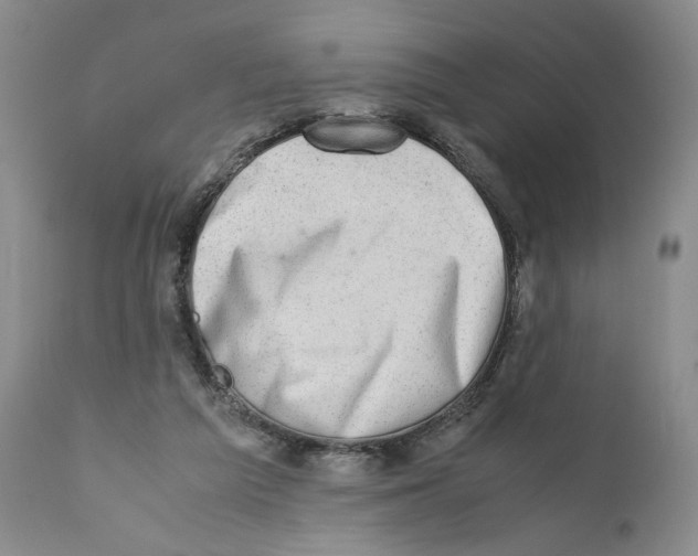 X0000110890209200907161534