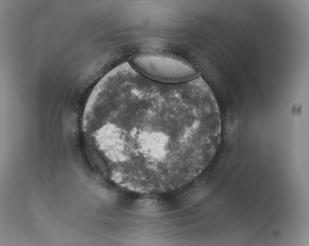 X0000110890211200907161534