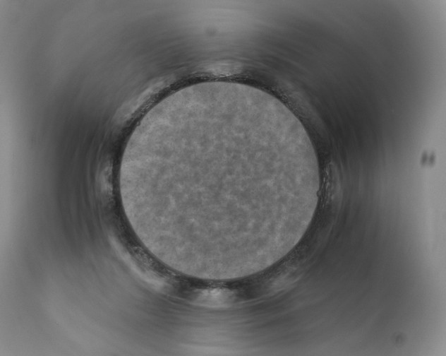 X0000110890212200907161534