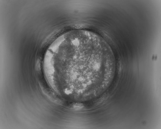 X0000110890214200907161533