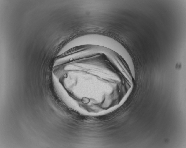 X0000110890215200907161533